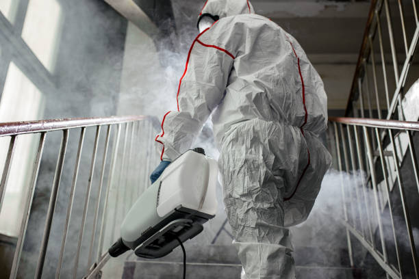 Best HVAC Mold Inspection and Cleaning  in Richland, PA